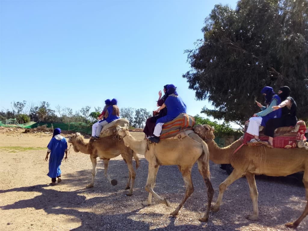 Book Tour Excursions — trip photo 34