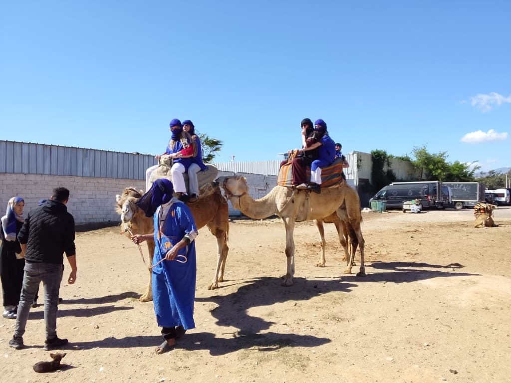 Book Tour Excursions — trip photo 46