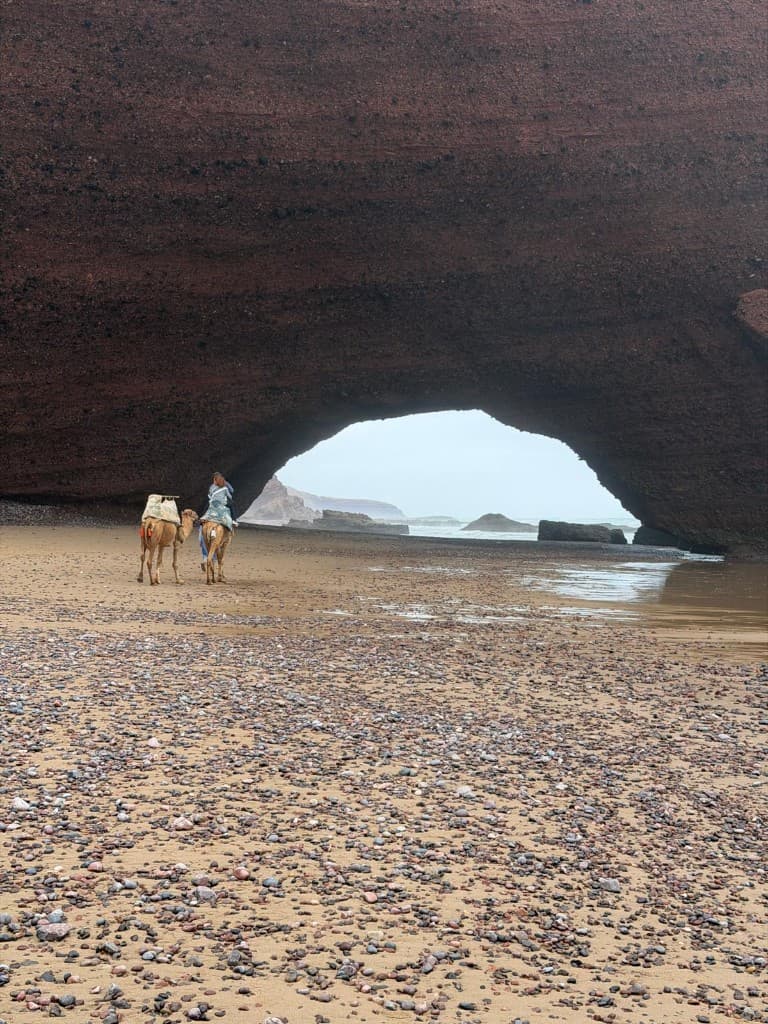 Book Tour Excursions — trip photo 21